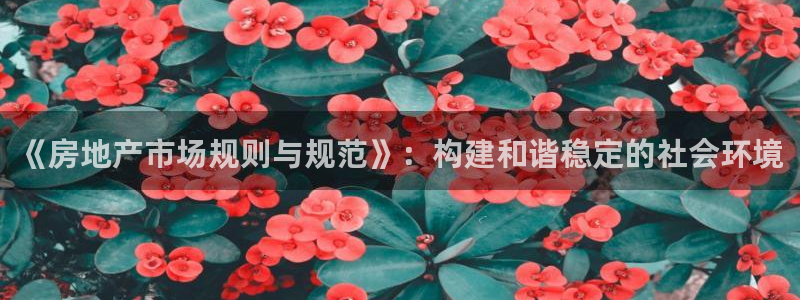 成都和记黄埔地产官网：《房地产市场规则与规范》：构建和谐稳定