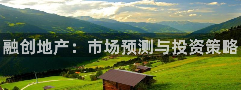 和记怡情博物官网：融创地产：市场预测与投资策略