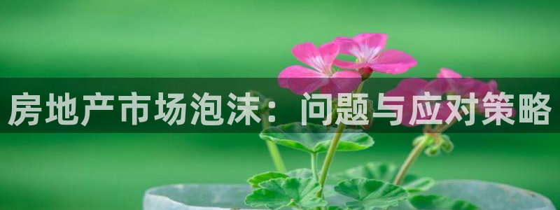 小金库钱包app下载官网和记：房地产市场泡沫：问题与应对策略