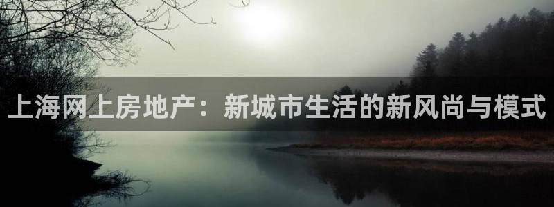 长江和记集团官网：上海网上房地产：新城市生活的新风尚与模式
