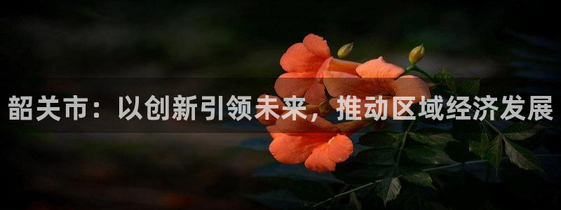 和记娱技精h88285官网：韶关市：以创新引领未来，推动区域