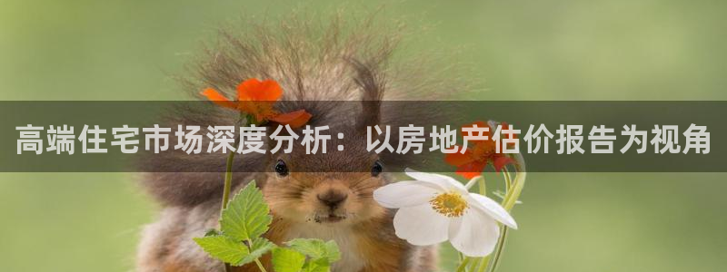 和记混凝土官网：高端住宅市场深度分析：以房地产估价报告为视角