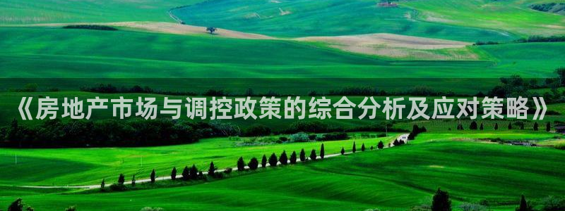 和记开户官网：《房地产市场与调控政策的综合分析及应对策略》