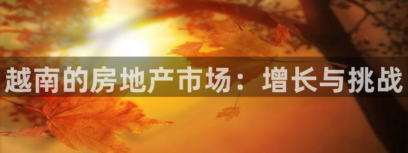 3和记电讯官网：越南的房地产市场：增长与挑战