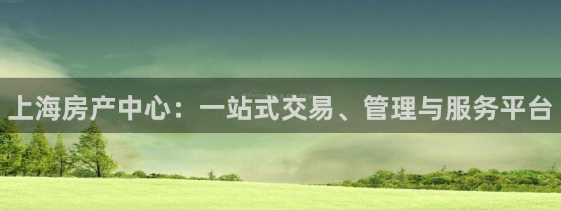 和记娱真好h88285官网：上海房产中心：一站式交易、管理与