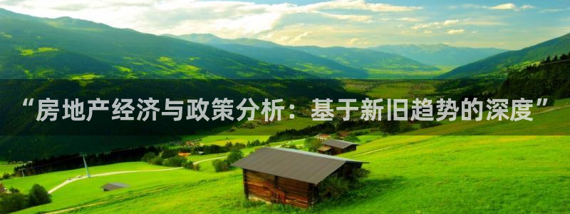 三宇和记官网：“房地产经济与政策分析：基于新旧趋势的深度”