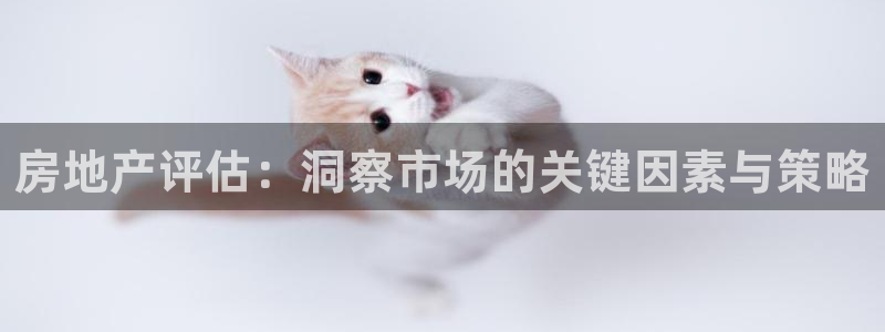 和记娱乐怡情官网：房地产评估：洞察市场的关键因素与策略