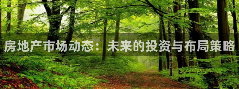 和记娱乐怡情官网：房地产市场动态：未来的投资与布局策略