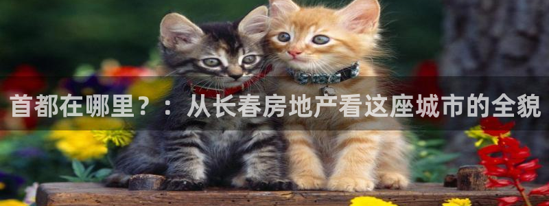 和记官网备用客户端：首都在哪里？：从长春房地产看这座城市的全