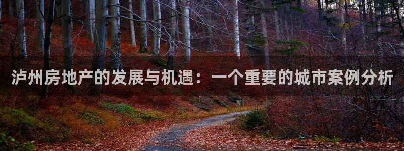 和记网站官网：泸州房地产的发展与机遇：一个重要的城市案例分析