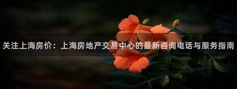 和记官网官网入口：关注上海房价：上海房地产交易中心的最新咨询