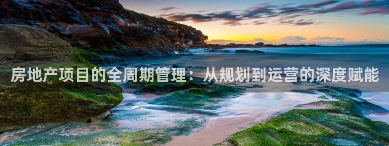 和记 中国官网：房地产项目的全周期管理：从规划到运营的深度赋