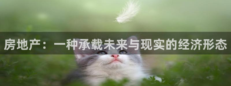 长江和记有限公司官网：房地产：一种承载未来与现实的经济形态