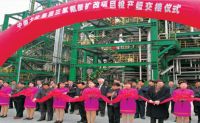 2000-2005年，采用意大利欧技工艺技术，相继建成了三套三聚氰胺生产装置，年产能5.4万吨