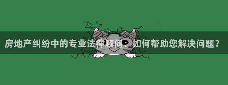 和记备用官网：房地产纠纷中的专业法律顾问：如何帮助您解决问题