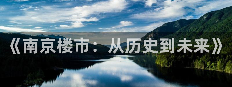 和记环球电讯官网：《南京楼市：从历史到未来》
