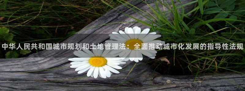 和记娱乐网官网：中华人民共和国城市规划和土地管理法：全面推动