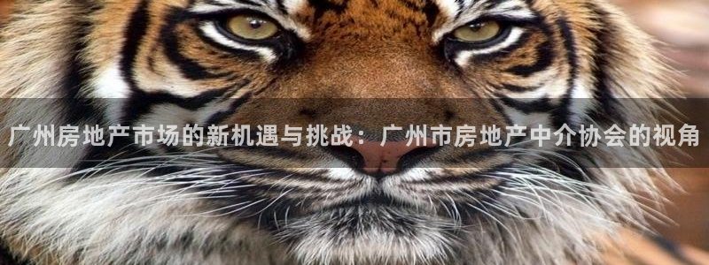 澳门3和记官网