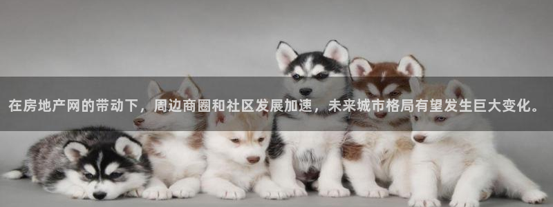 成都和记黄埔地产官网