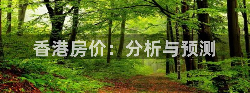 和记餐厅官网：香港房价：分析与预测
