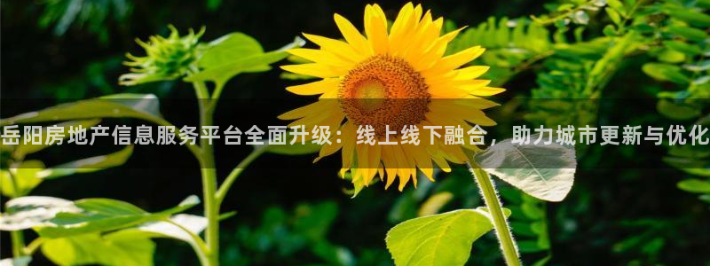 和记官网地址：岳阳房地产信息服务平台全面升级：线上线下融合，