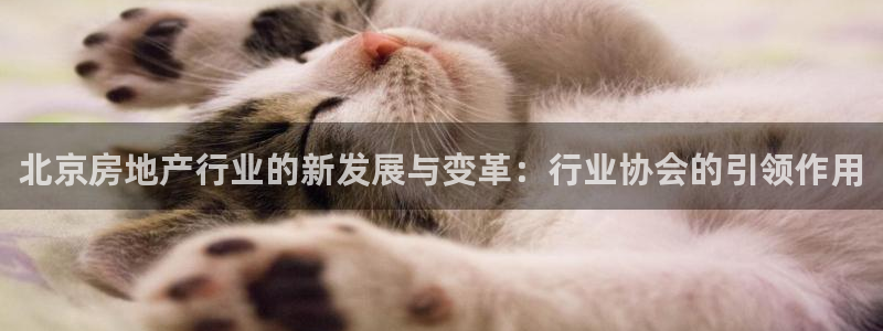 和兴记官网