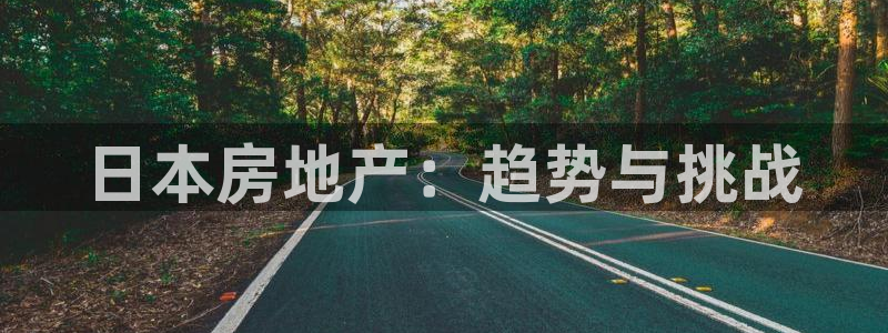 和记怡情官网：日本房地产：趋势与挑战