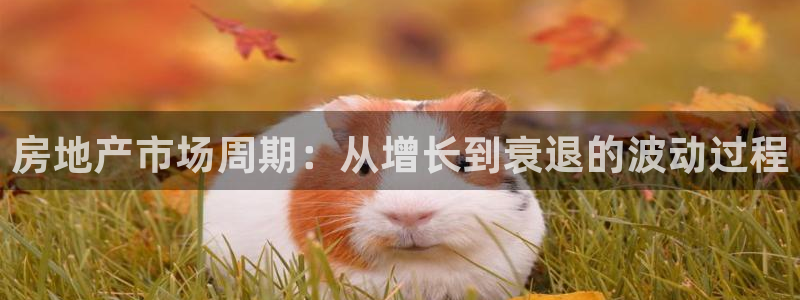 澳门和记官网娱乐场