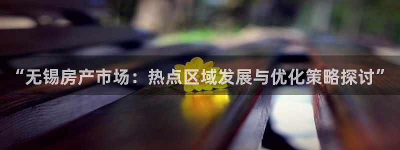 和记 官网：“无锡房产市场：热点区域发展与优化策略探讨”