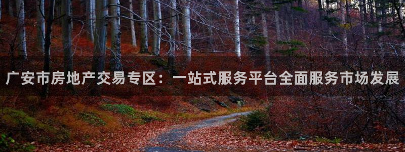 长江和记官网