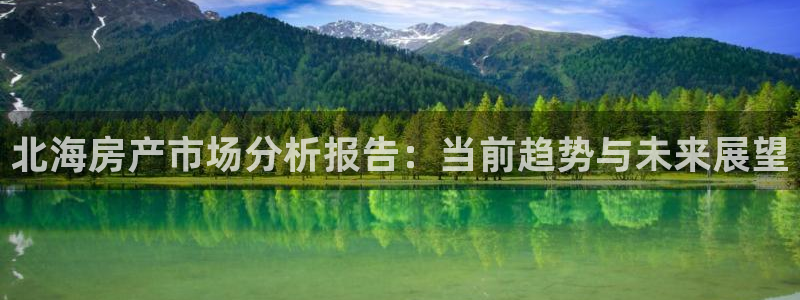 和记官网客户端：北海房产市场分析报告：当前趋势与未来展望