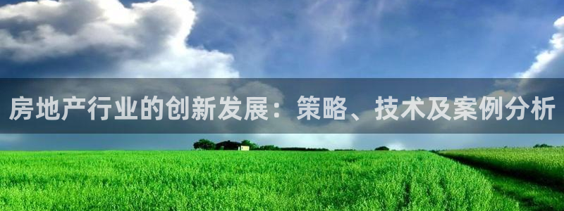 和记娱乐h8官网：房地产行业的创新发展：策略、技术及案例分析