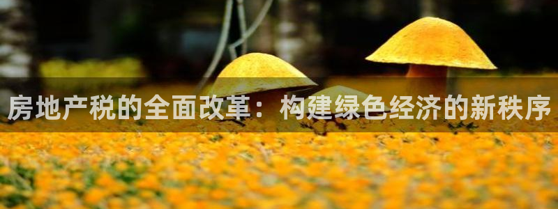和记游戏官网：房地产税的全面改革：构建绿色经济的新秩序