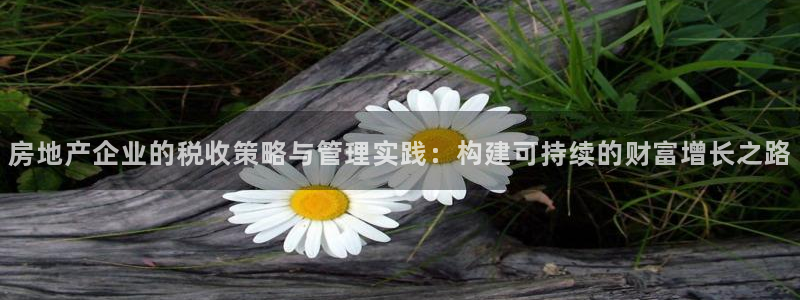 和记娱技精h88285官网：房地产企业的税收策略与管理实践：