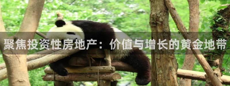 和黄记官网：聚焦投资性房地产：价值与增长的黄金地带