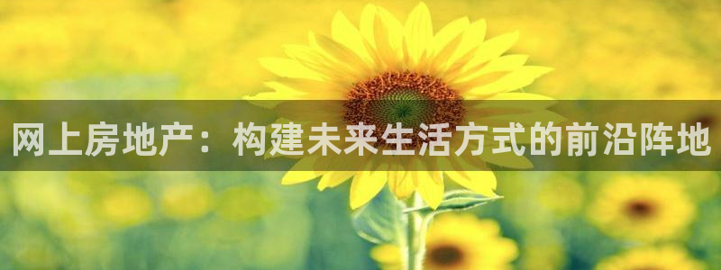 和记日化官网：网上房地产：构建未来生活方式的前沿阵地