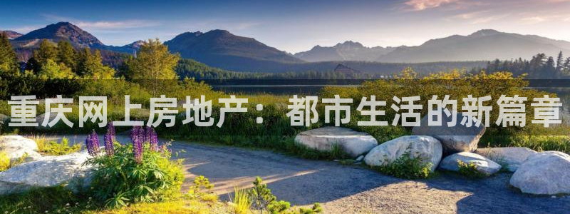 和记怡情视频在线官网：重庆网上房地产：都市生活的新篇章