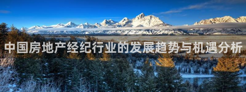 和记官网h88：中国房地产经纪行业的发展趋势与机遇分析