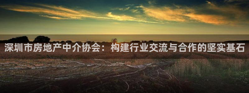 和元李记官网：深圳市房地产中介协会：构建行业交流与合作的坚实