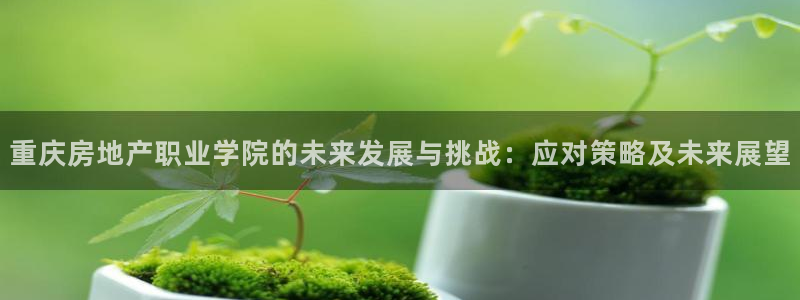 广州和记黄埔官网：重庆房地产职业学院的未来发展与挑战：应对策