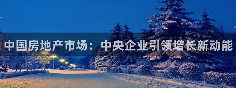 和记手机官网：中国房地产市场：中央企业引领增长新动能